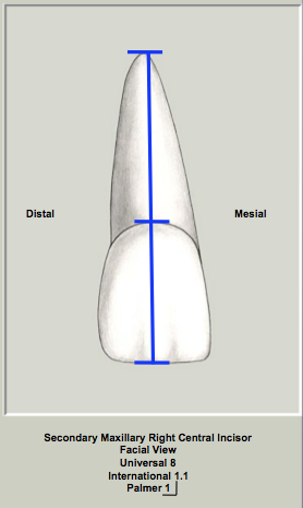 Mx Central Length Facial.png